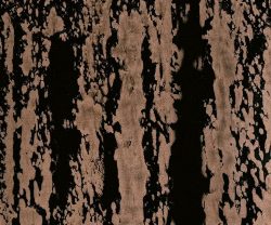 MSC1017CMB1003
