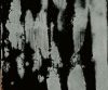 MSC1017CMB1004