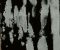 MSC1017CMB1004