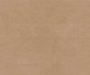 exterior-texture-asian-paints-ETXT1001CMB1001 exterior-texture-asian-paints-ETXT1001CMB1001