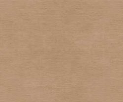 exterior-texture-asian-paints-ETXT1001CMB1001