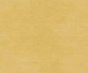 exterior-texture-asian-paints-ETXT1001CMB1003