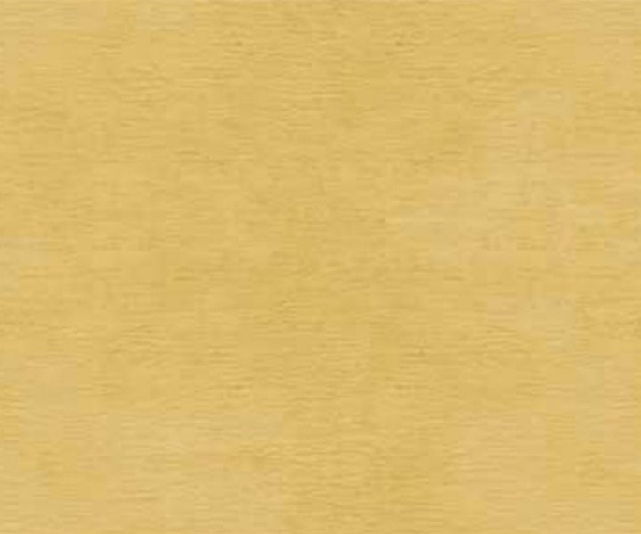 exterior-texture-asian-paints-ETXT1001CMB1003