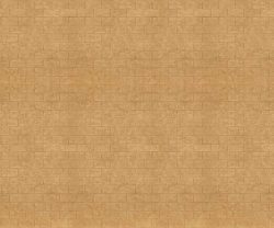 exterior-texture-asian-paints-ETXT1004CMB1001