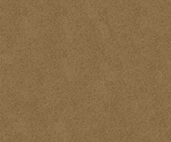 exterior-texture-asian-paints-ETXT2002CMB1003