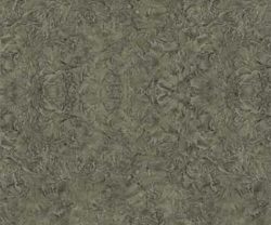exterior-texture-asian-paints-ETXT5002CMB1001