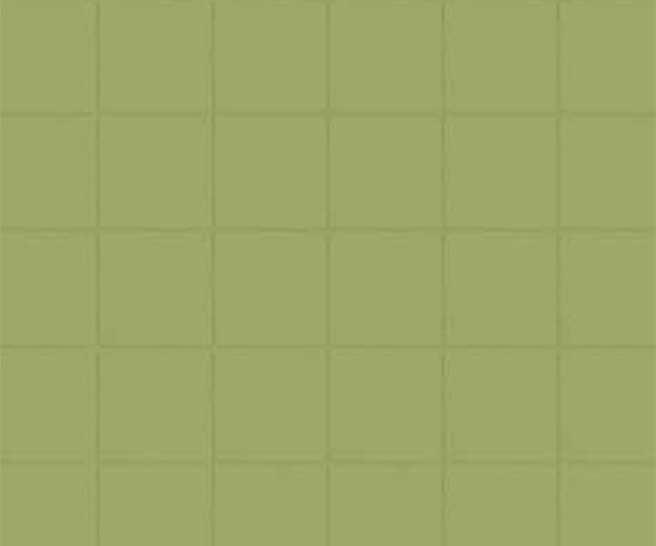 exterior-texture-asian-paints-ETXT6002CMB1001