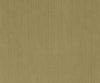 exterior-texture-asian-paints-ETXT6003CMB1001