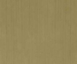 exterior-texture-asian-paints-ETXT6003CMB1001