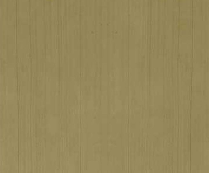 exterior-texture-asian-paints-ETXT6003CMB1001