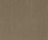 exterior-texture-asian-paints-ETXT6003CMB1002