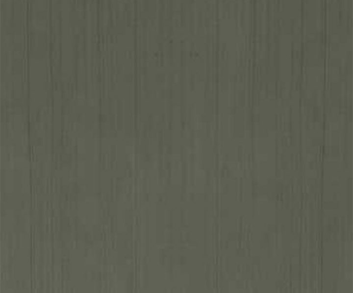 exterior-texture-asian-paints-ETXT6003CMB1004