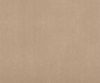 exterior-texture-asian-paints-ETXT7001CMB1002