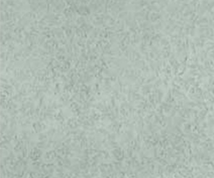exterior-texture-asian-paints-ETXT7006CMB1002 exterior-texture-asian-paints-ETXT7006CMB1002