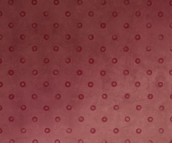 exterior-texture-asian-paints-TNB1001CMB1003