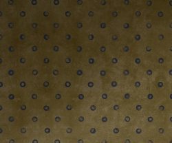 exterior-texture-asian-paints-TNB1002CMB1001