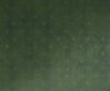 exterior-texture-asian-paints-TNB1002CMB1005