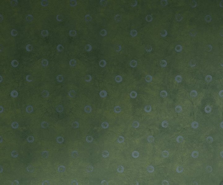 exterior-texture-asian-paints-TNB1002CMB1005