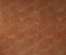 exterior-texture-asian-paints-TNB1003CMB1001