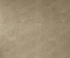 exterior-texture-asian-paints-TNB1004CMB1007