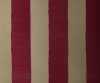 exterior-texture-asian-paints-TNB1007CMB1004