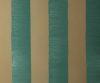 exterior-texture-asian-paints-TNB1008CMB1003