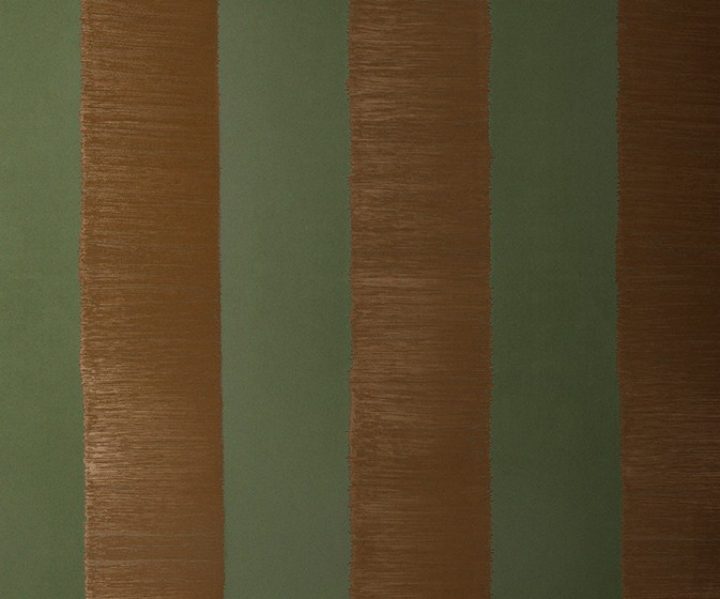 exterior-texture-asian-paints-TNB1008CMB1006