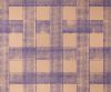 exterior-texture-asian-paints-TNB1009CMB1005