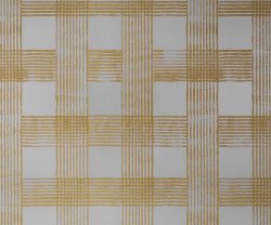 exterior-texture-asian-paints-TNB1010CMB1001