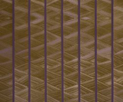 exterior-texture-asian-paints-TNB1012CMB1001