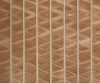 exterior-texture-asian-paints-TNB1012CMB1004