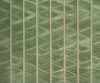 exterior-texture-asian-paints-TNB1012CMB1005