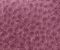 exterior-texture-asian-paints-TNB1013CMB1001