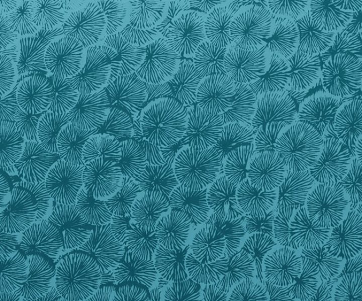 exterior-texture-asian-paints-TNB1013CMB1002