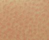 exterior-texture-asian-paints-TNB1013CMB1003