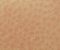 exterior-texture-asian-paints-TNB1013CMB1003