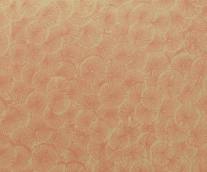exterior-texture-asian-paints-TNB1013CMB1003
