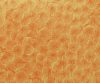 exterior-texture-asian-paints-TNB1013CMB1004