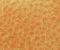 exterior-texture-asian-paints-TNB1013CMB1004