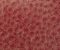 exterior-texture-asian-paints-TNB1013CMB1005