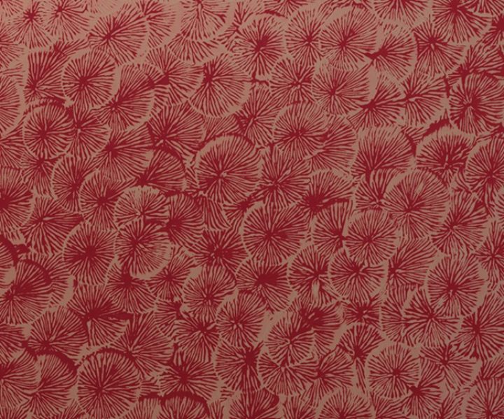 exterior-texture-asian-paints-TNB1013CMB1005