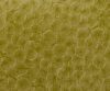 exterior-texture-asian-paints-TNB1013CMB1006