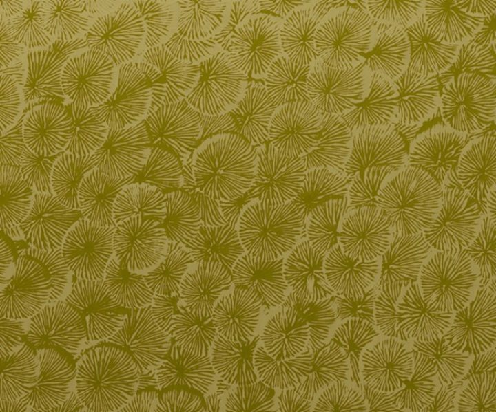exterior-texture-asian-paints-TNB1013CMB1006