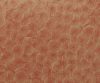 exterior-texture-asian-paints-TNB1013CMB1007