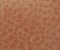 exterior-texture-asian-paints-TNB1013CMB1007