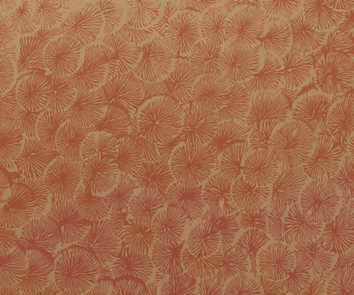 exterior-texture-asian-paints-TNB1013CMB1007