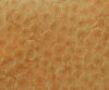 exterior-texture-asian-paints-TNB1014CMB1001