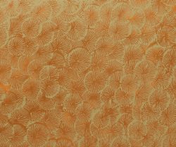 exterior-texture-asian-paints-TNB1014CMB1001