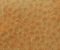 exterior-texture-asian-paints-TNB1014CMB1001