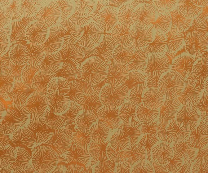 exterior-texture-asian-paints-TNB1014CMB1001